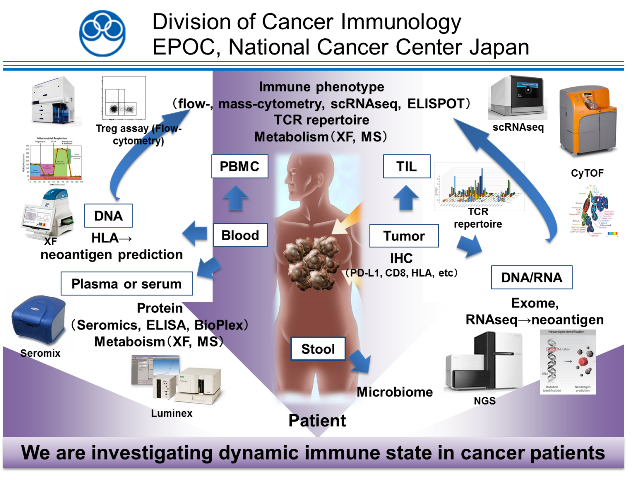 Division_of_Cancer_Immunology_Kashiwa.png