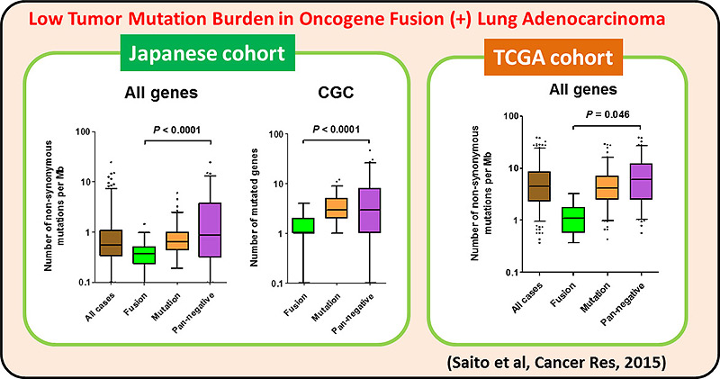 Low Tumor Mutation Burden in Oncogene Fusion (+) Lung Adenocarcinoma