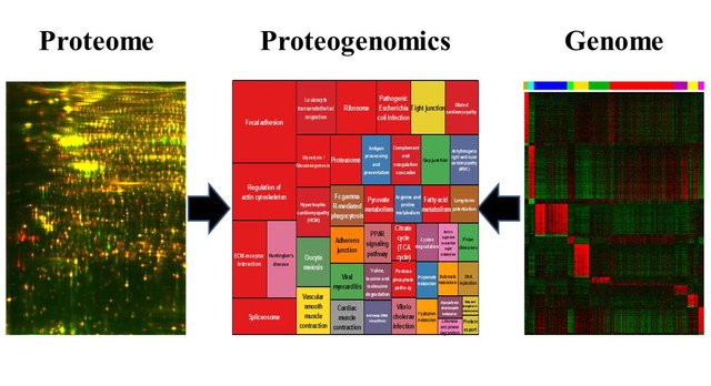 figure of Bioinformatics approach