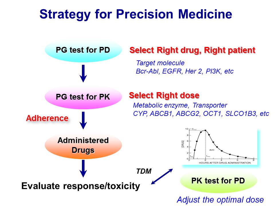 Strategy for Precision Medicine