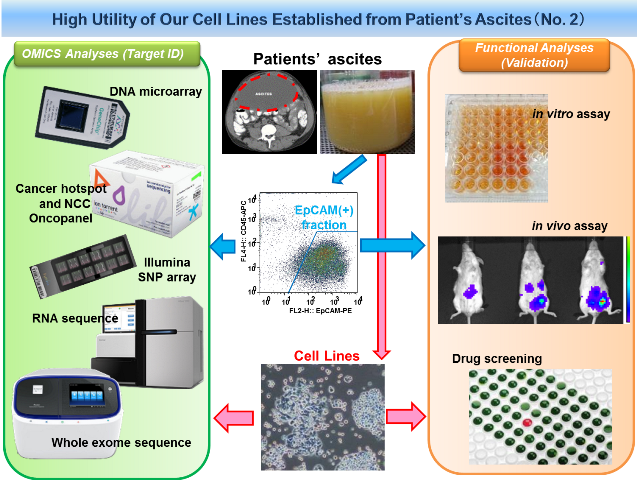 Division_of_Biomarker_Discovery2.png