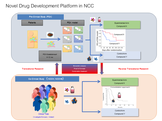 Clinical_Pharmacology7.PNG