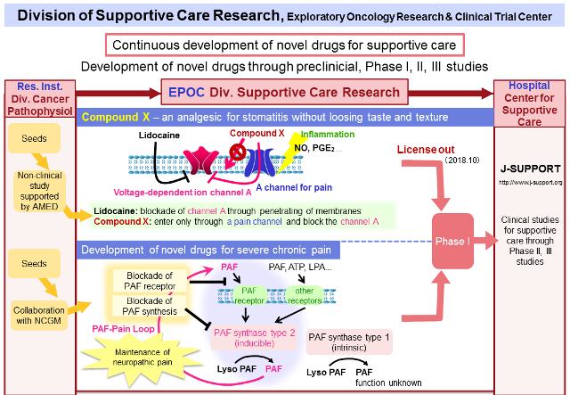 Division_of_SupportiveCareResearch.png