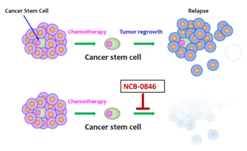 Figure 1. Therapeutics targeting cancer stemness