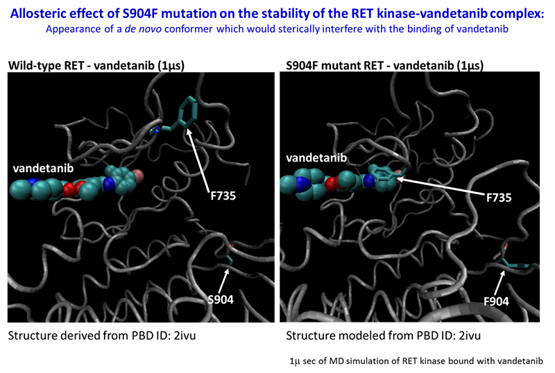 Allosteric effect of S904F mutation on the stability of the RET kinase-vandetanib complex: