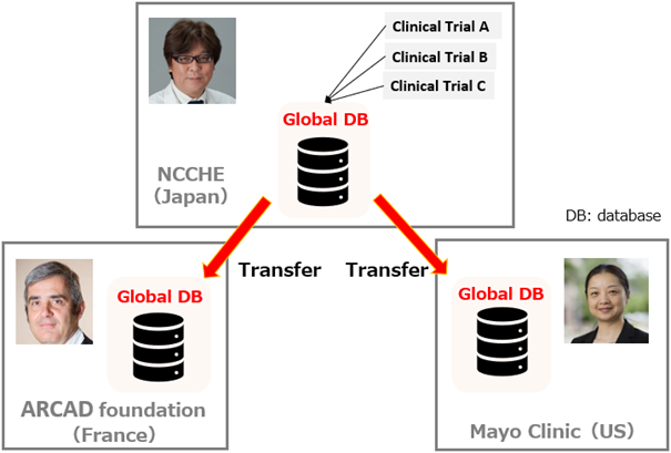 ARCAD-Gastric joint management system and Global DB flow
