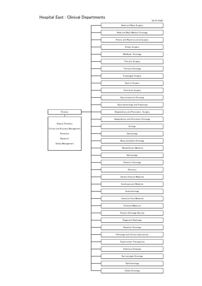 東病院_診療体制図（英語版）2025画像