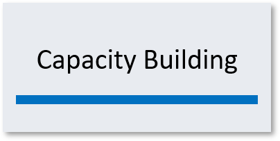 Capacity Building Program