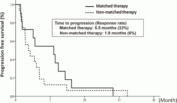 Figure 1. Progression-free survival of matched and non-matched therapy-received patients in the TOP-GEAR-1 study