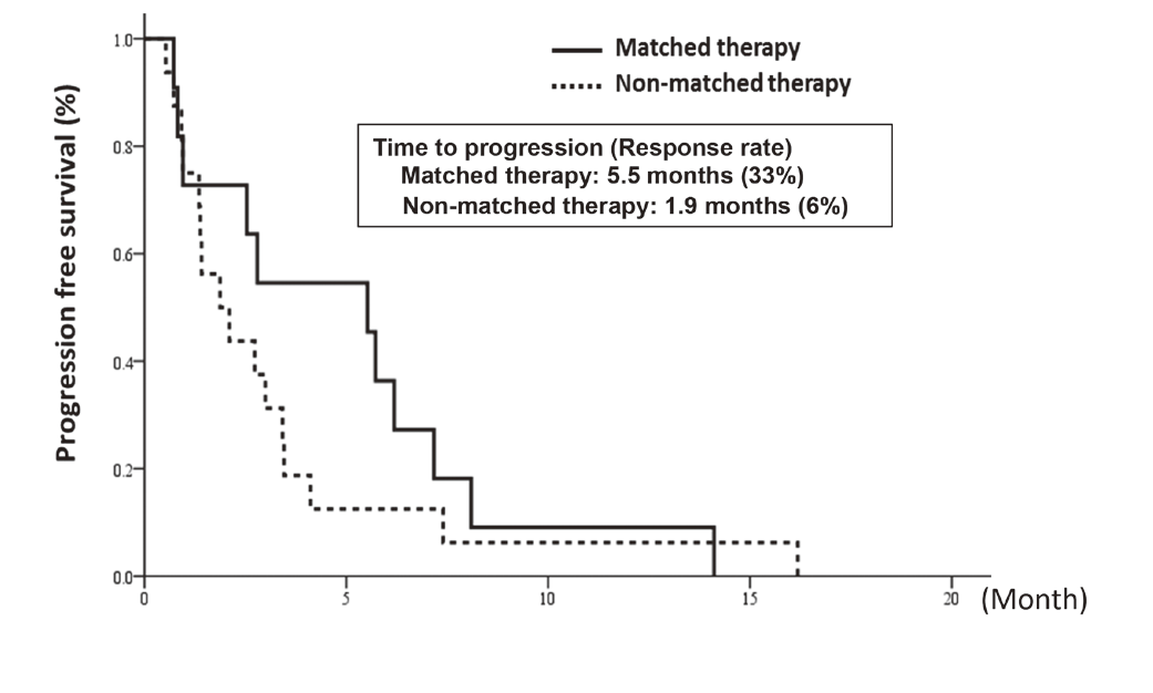 Figure 1. Progression-free survival of matched and non-matched therapy-received patients in the TOP-GEAR-1 study(Full Size)
