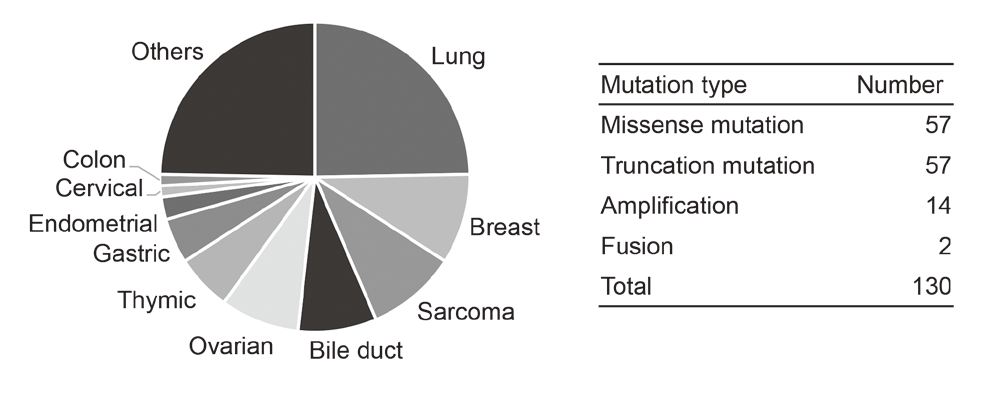 Figure 2. Tumor types analyzed and detected genomic aberrations in the TOP-GEAR-1ex study(Full Size)