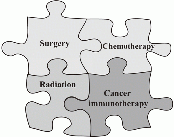 Figure 1. Immunotherapies provided a new option for cancer treatment