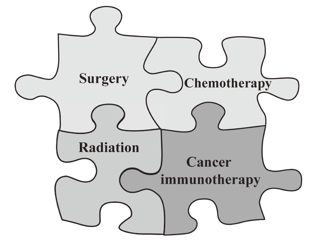 Figure 1. Immunotherapies provided a new option for cancer treatment(Full Size)