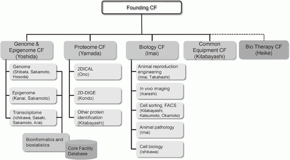 Figure 1. CF Organization (as of 2014, before FIOC)