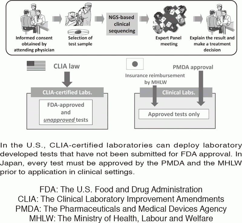 Figure 1. Differences in laboratory test regulations between the U.S. and Japan