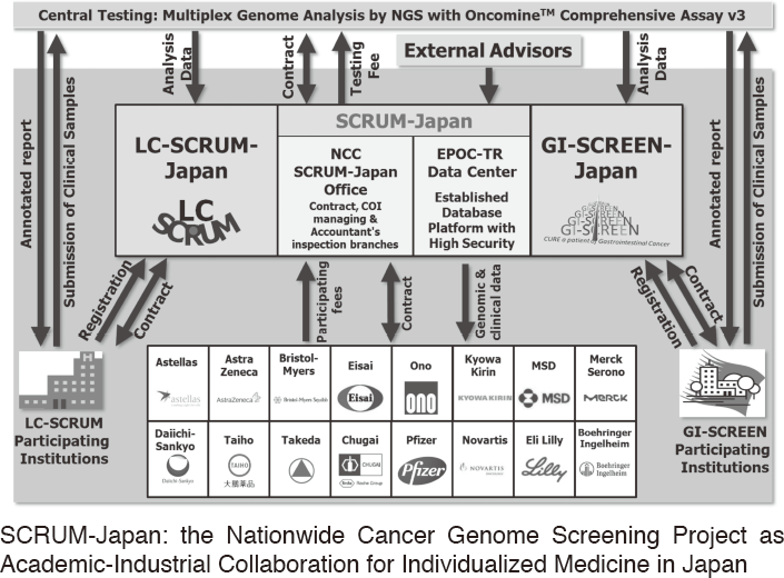 Figure 3.  SCRUM-Japan