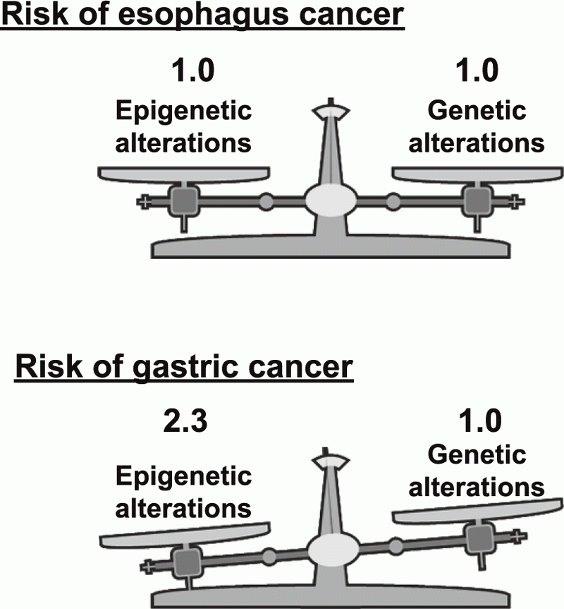 Figure 2. Impact of genetic and epigenetic alterations on cancer risk