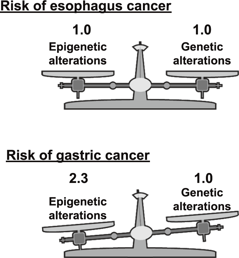 Figure 2. Impact of genetic and epigenetic alterations on cancer risk(Full Size)