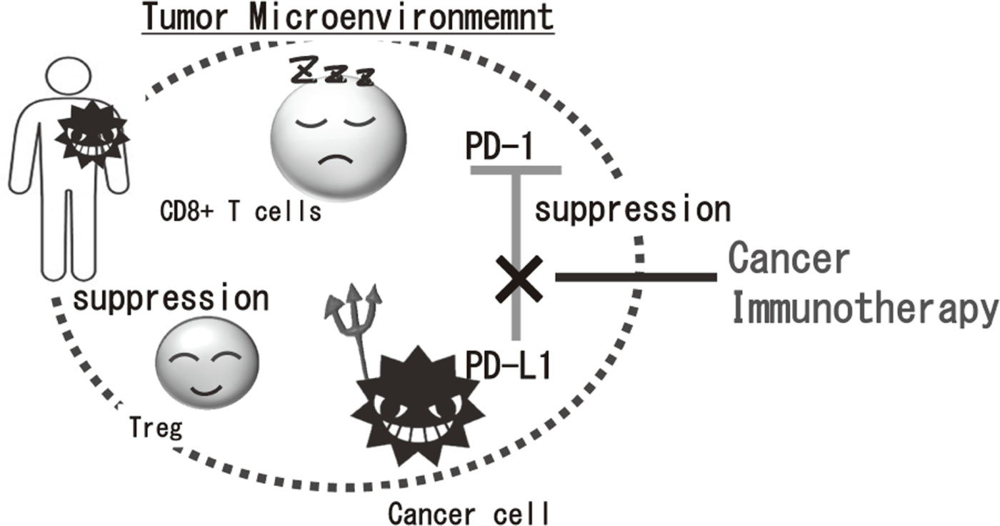 Figure 1. Suppression of anti-tumor immune responses in tumor microenvironment(Full Size)