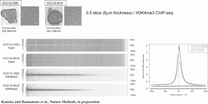 Figure 1. FFPE ChIP-Seq (H3K4me3)