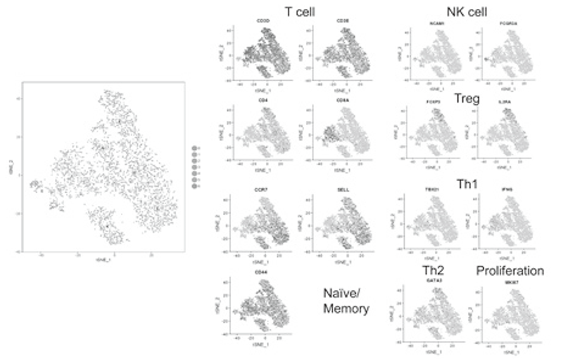Figure 2. Representative data of TILs analyzed by
mass cytometry