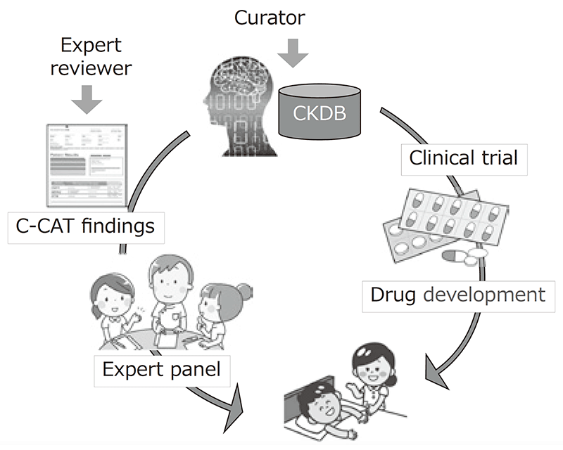 Figure 1. Development of CKDB to improve the quality
of genome medicine
