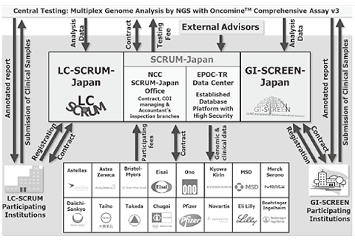 Figure 3. SCRUM-Japan