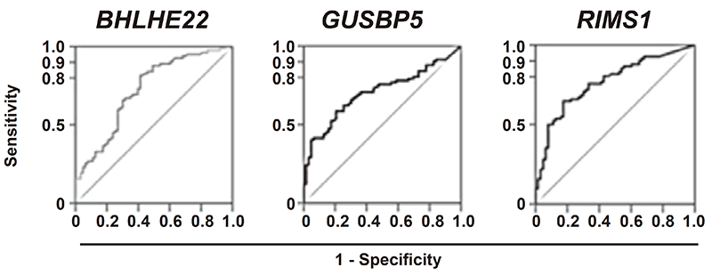 Figure 1. Novel risk markers for gastric cancers