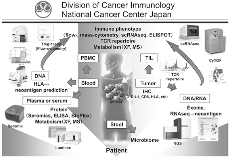 Figure 1. Investigation of dynamic immune state in cancer patients