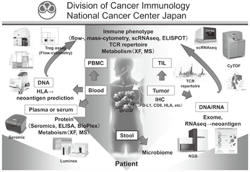Figure 1. Investigation of dynamic immune state in cancer patients(Full Size)