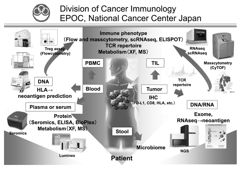 Figure 1.  We are investigating the dynamic immune state in cancer patients