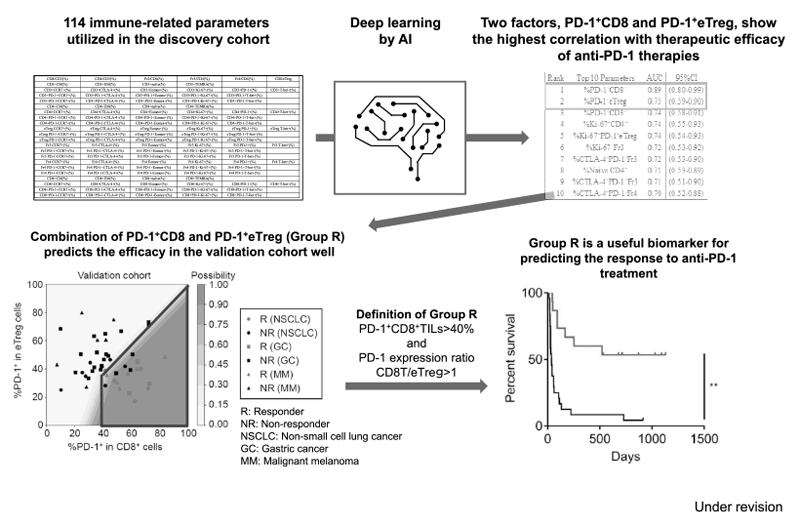 Figure 3.  Optimizing cancer immunotherapies based on biomarkers