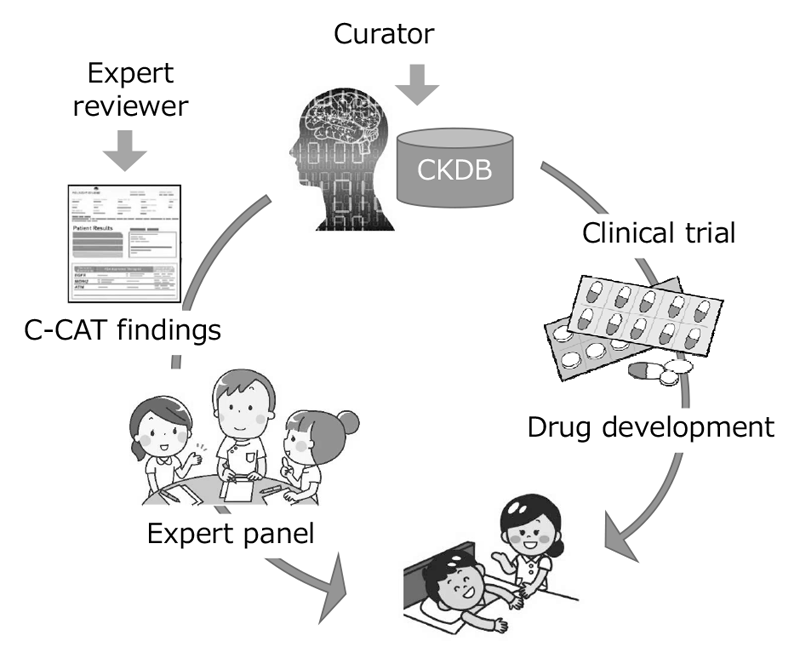 Figure 1. Development of CKDB to improve the quality of genome medicine