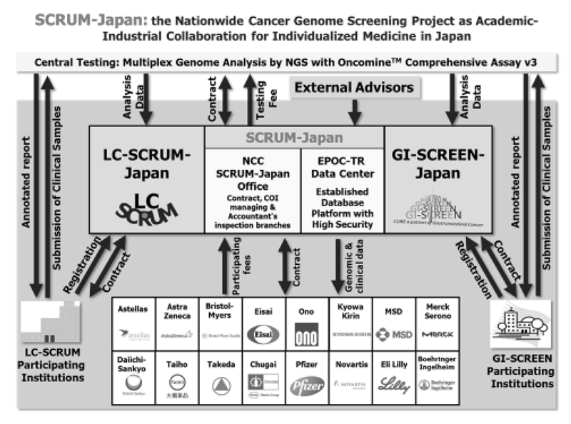 Figure 2. SCRUM-Japan Project