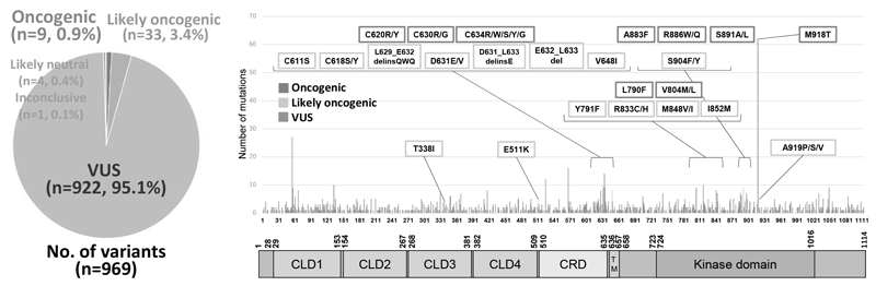 Figure. Variants of unknown significance (VUS) in the RET gene