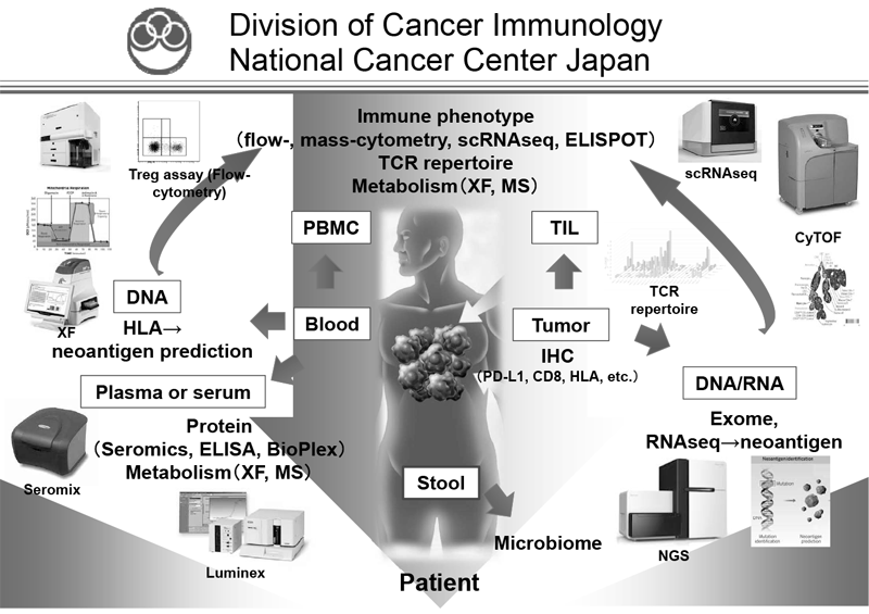 Figure 1.  Investigation of dynamic immune state in cancer patients