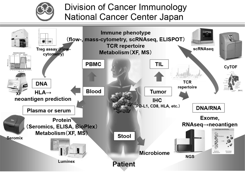 Figure 1. Investigation of dynamic immune state in cancer patients
