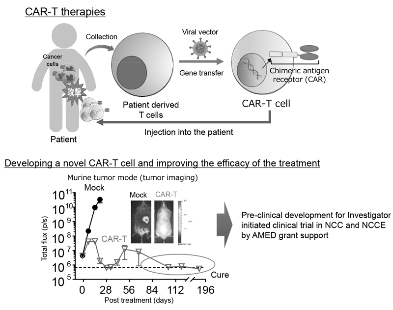 Figure 2.  Development of novel CAR-T therapies and plan to perform clinical trial 
