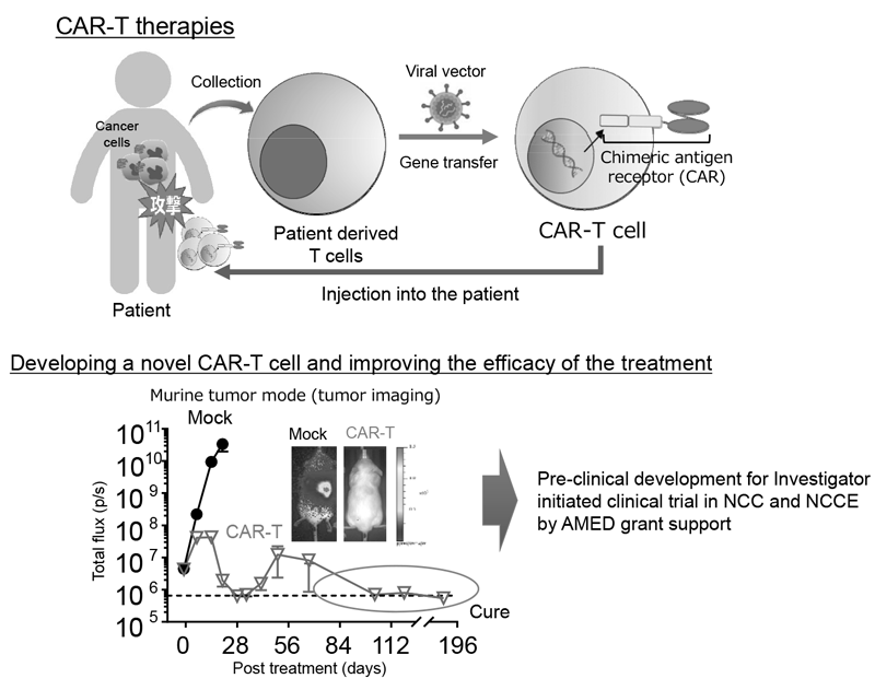 Figure 2. Development of novel CAR-T therapies and plan to perform clinical trial
