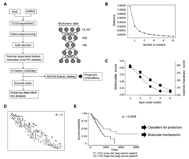 Figure 1.Analysis of lung cancer data using an auto-encoder-based multi-omics analysis platform. (A) Multi-omics analysis pipeline. (B) Clustering results of elbow method. (C) Clustering results of the Silhouette index and Calinski–Harabasz criterion. (D) Clustering results of K-means clustering. (E) Kaplan–Meier plot using patient labels obtained from Figure 1D.
