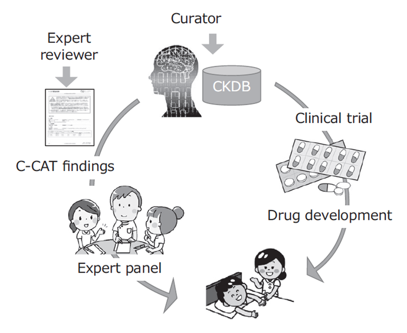 Figure 1. Development of CKDB to improve the quality of genome medicine