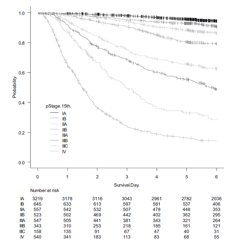 Figure 1. Overall survival curves of patients who have undergone resection (2000-2015, n=6532)