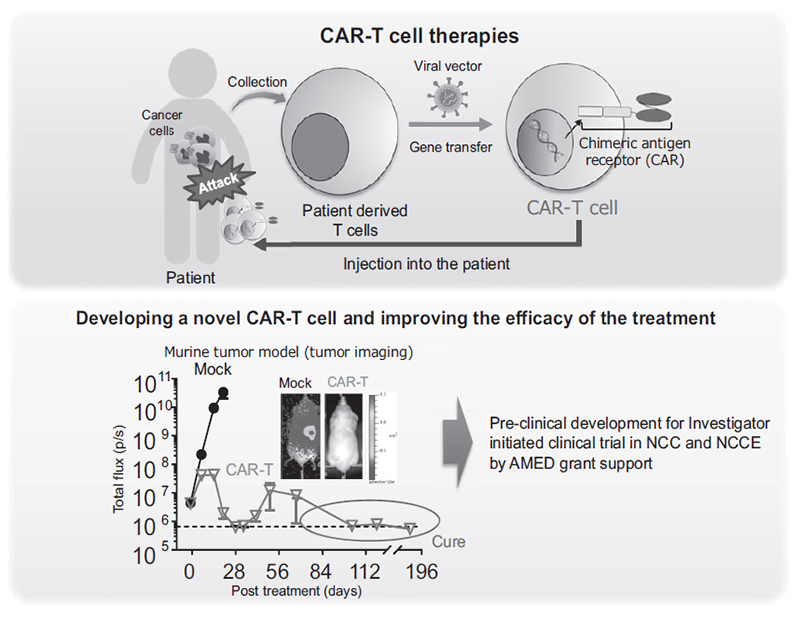 Figure 2. Development of novel CAR-T therapies and plan to perform clinical trial