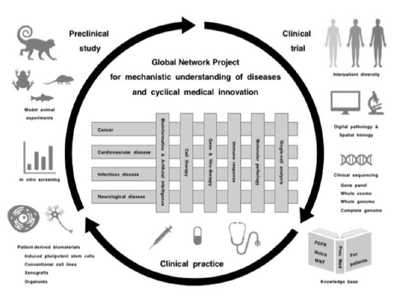 Figure 1. Cyclical medical innovation for precision medicine
