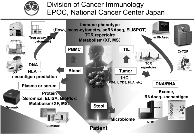 Figure 1. We are investigating the dynamic immune state in cancer patients