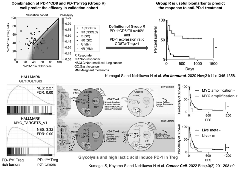 Figure 2. Developing immuno-precision biomarkers and Elucidating the mechanisms of PD-1 expression