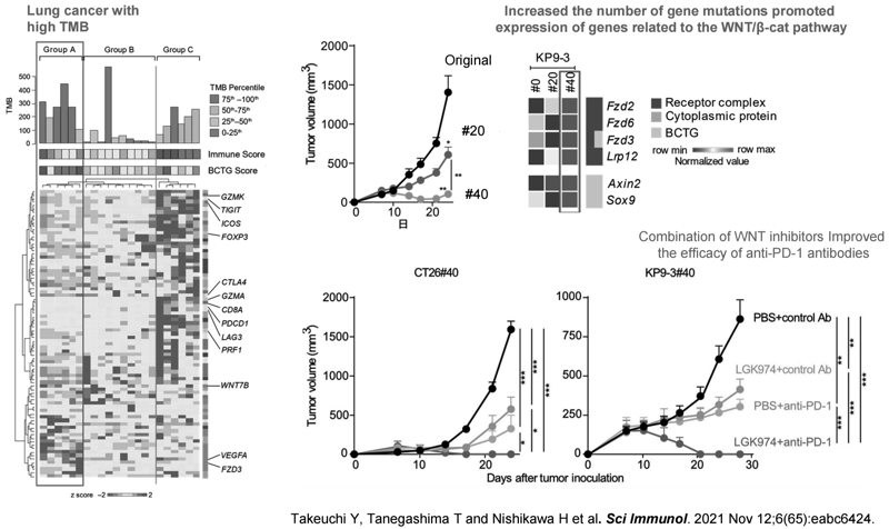 Figure 3. Elucidating the resistant mechanisms and suitable combination treatment with immune checkpoints