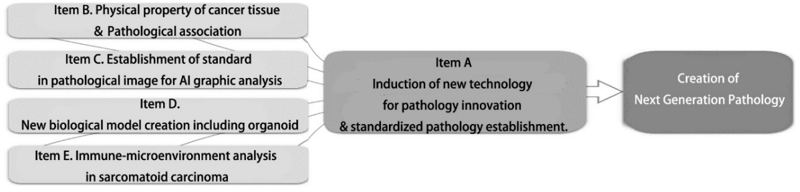 Figure 3.  Research items