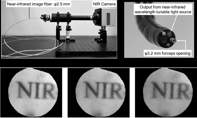 Figure 1.  Development of Near-Infrared Hyperspectral Imaging Endoscope