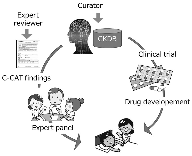 Figure 1. Development of the CKDB to improve the quality of genome medicines